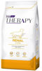Imagen de THERAPY Cannine Renal 10kg + Pala + Coedero