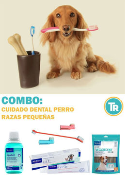 Mostrar detalles para COMBO SUPER FRESH Salud Bucal Perros Pequeños - 20% OFF Imagen de COMBO SUPER FRESH Salud Bucal Perros Pequeños - 20% OFF