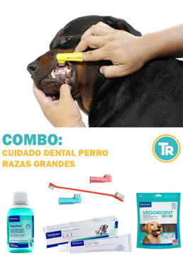 Mostrar detalles para COMBO SUPER FRESH Salud Bucal Perros Medianos y Grandes - 20% OFF Imagen de COMBO SUPER FRESH Salud Bucal Perros Medianos y Grandes - 20% OFF
