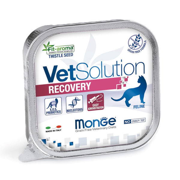 Imagen de PATE VET SOLUTION Gato Recovery 100grs