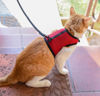Imagen de Arnés para Roedores, Conejos y Gatos talle L
