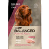 Imagen de BALANCED Natural Recipe Cerdo 15 + Pala + Pelota