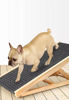 Imagen de RAMPA PET MADERA PARA PERRO Y GATO
