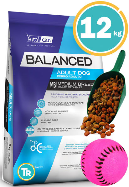 Imagen de BALANCED Perro Adulto Raza Mediana 12 KG + Pelota + Pala