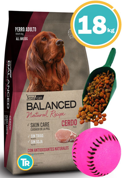 Imagen de BALANCED Natural Recipe Cerdo 15 + Pala + Pelota