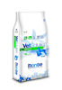 Imagen de VET SOLUTION Dog Obessity 2Kg + Orejas