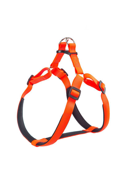 Imagen de ARNÉS DAYTONA P MEDIUM NARANJA PETTORINA
