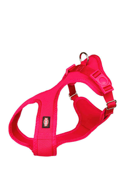 Imagen de Arnes Comfort Soft Touring S-M Fuchsia