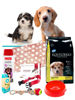 Imagen de COMBO BIENVENIDA CACHORRO