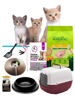 Imagen de COMBO BIENVENIDA GATITOS ESPECIAL