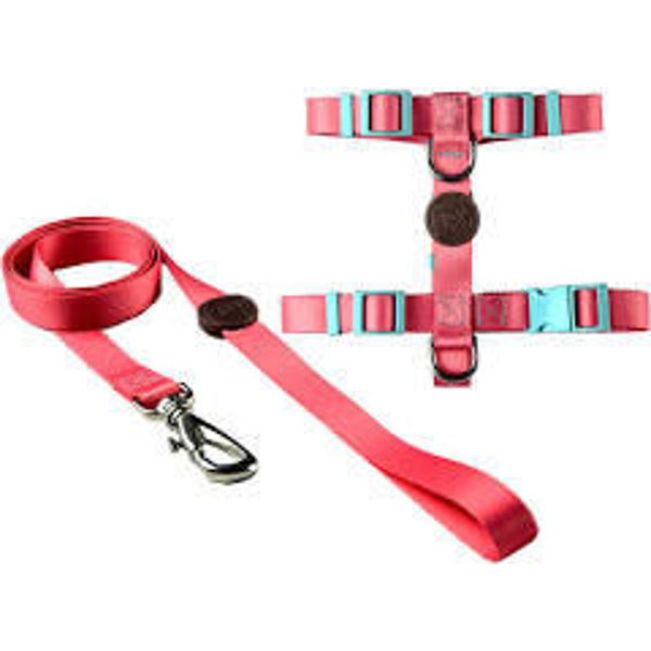 Imagen de ARNES H + CORREA TOH TALLE XS ROSA