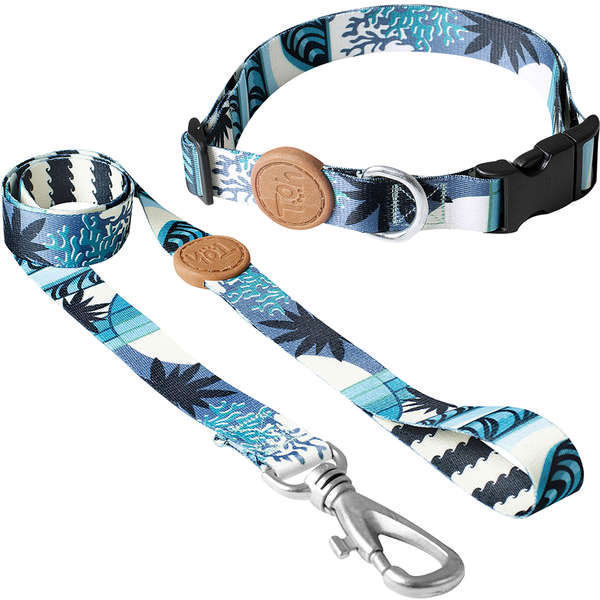 Imagen de COLLAR + CORREA TOH TALLE L NORONHA