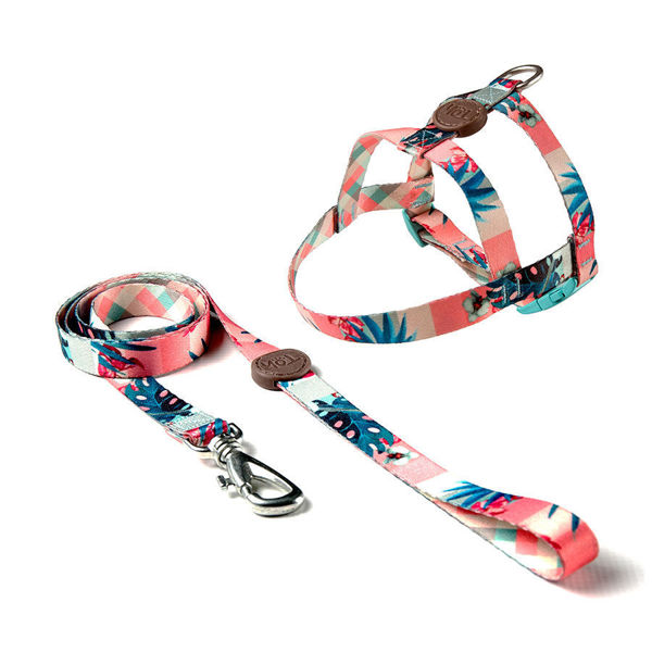 Imagen de COLLAR + CORREA TOH TALLE M LAGUNA