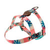 Imagen de COLLAR + CORREA TOH TALLE M LAGUNA