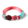 Imagen de COLLAR + CORREA TOH TALLE M ROSA