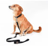 Imagen de COLLAR + CORREA TOH TALLE XS NEGRO