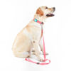 Imagen de COLLAR + CORREA TOH TALLE XS ROSA