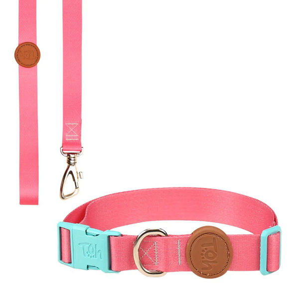 Imagen de COLLAR + CORREA TOH TALLE L ROSA