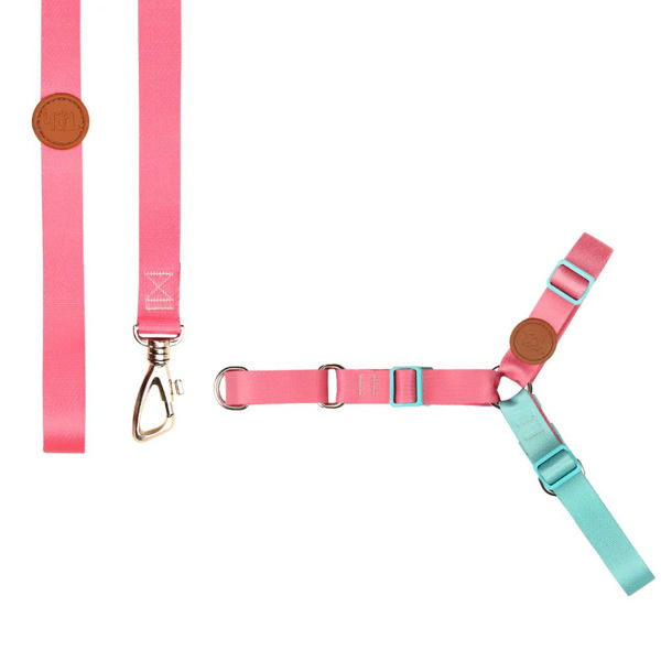 Imagen de ARNES ANTITIRONES + CORREA TALLE S ROSA
