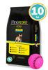 Imagen de FINOTRATO Alimento Gold Adulto Raza Mini y Peq 10,1kg