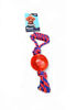 Imagen de Juguete Cuerda Agarre + Pelota
