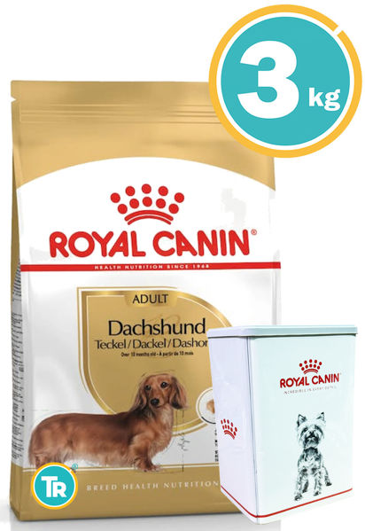 Imagen de ROYAL CANIN Dachshund Adult 3kg + Lata