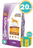 Imagen de GEMON PERRO ADULTO RAZA GRANDE 20 KG