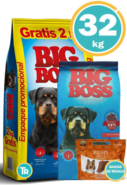 Imagen de BIG BOSS ADULTO 22 + 10 KGS + Bifinho Brain Plus