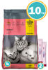 Imagen de Alimento THREE CATS Familia Original Gato Adultos Carne 10 kg