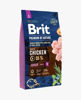 Imagen de BRIT PREMIUM DOG JUNIOR SMALL 8KG - OUTLET