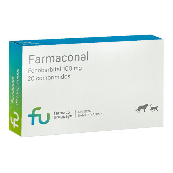 Imagen de FARMACONAL 100MG 20 COMPRIMIDOS