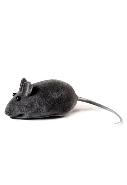 Imagen de RATON GAMUZA CON CHIFLE