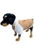 Imagen de BUZO ANGORA STRETCH - CAMEL TALLE 5