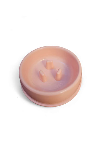 Imagen de PLATO COME LENTO PASTEL CE-251