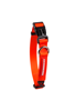 Imagen de COLLAR RED TALLE M - CACHORREIROS