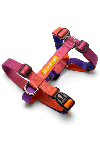 Imagen de ARNES H SPEED TALLE M - CACHORREIROS