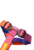 Imagen de ARNES H SPEED TALLE M - CACHORREIROS