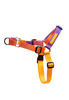 Imagen de ARNES ANTITIRONES SPEED TALLE M - CACHORREIROS