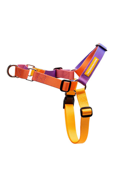 Imagen de ARNES ANTITIRONES SPEED TALLE M - CACHORREIROS