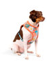 Imagen de ARNES FLOW FLORAL TALLE XL - CACHORREIROS