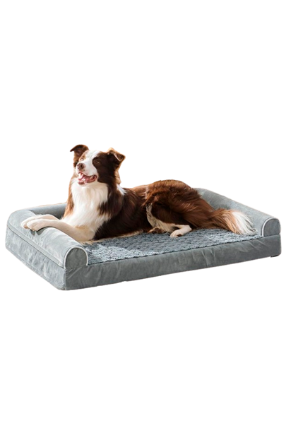 Imagen de Cama Ortopédica Mieux Pet para Perro Talle S