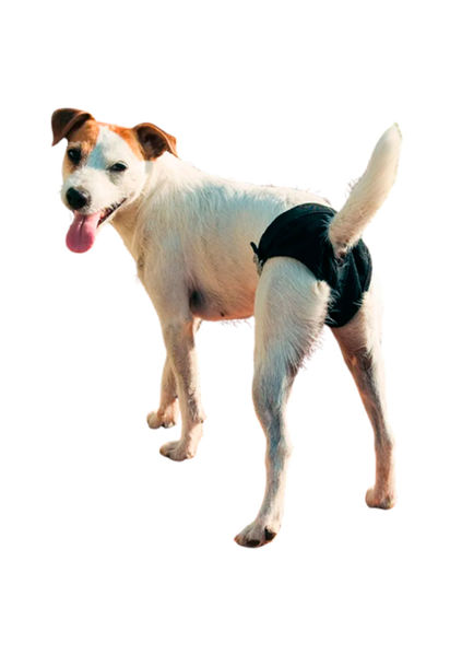 Imagen de Pantalone Higiénico Talle M