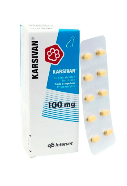 Imagen de KARSIVAN Blister 10 Comp