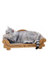 Imagen de Rascador Para Gatos Forma Sillón + Snack de regalo