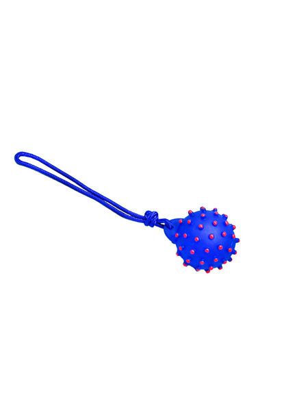 Imagen de Juguete Pelota de Goma Azul con cuerda
