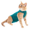 Imagen de ROPA PROTECTORA PARA GATOS TALLE 0 VERDE