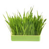 Imagen de KIT PASTO RECTANGULAR PPARA GATOS