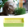 Imagen de KIT PASTO RECTANGULAR PPARA GATOS