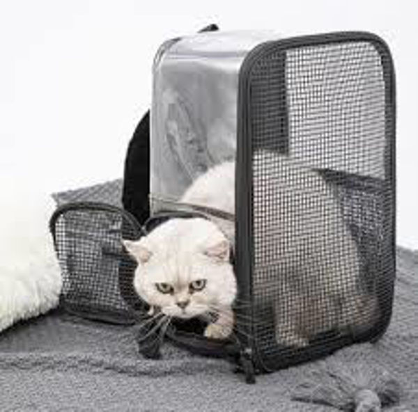 Imagen de MOCHILA TRANSPARENTE CON REJILLA R11