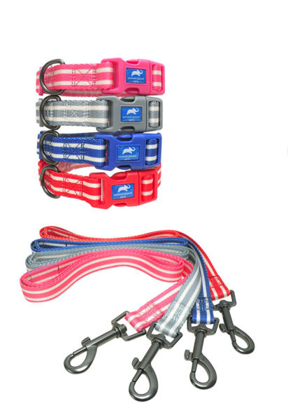 Imagen de COLLAR + CORREA P/MASCOTAS L 2.0CM X 35-50CM / 2.0CM X 90CM (CHINA)